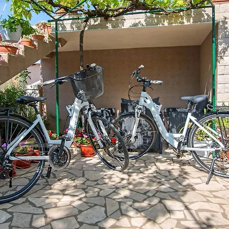 Apartment Oliva