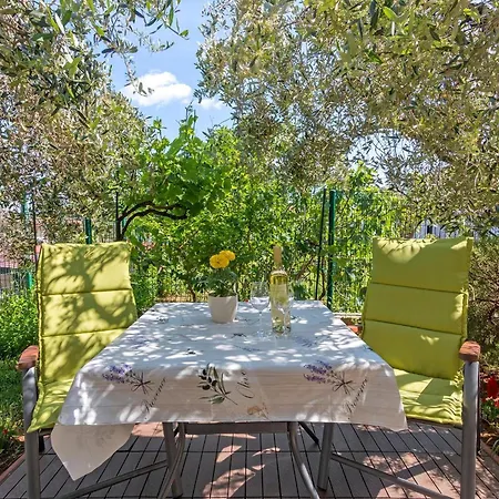 Apartment Oliva