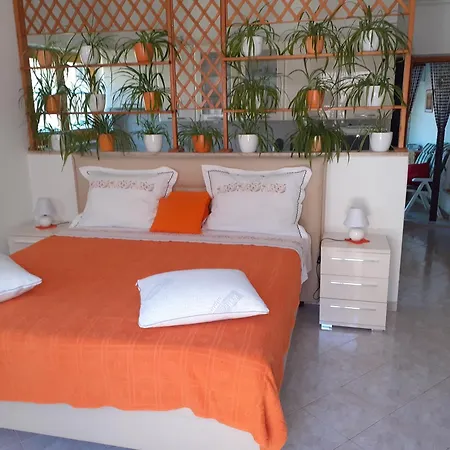 Apartment Oliva *